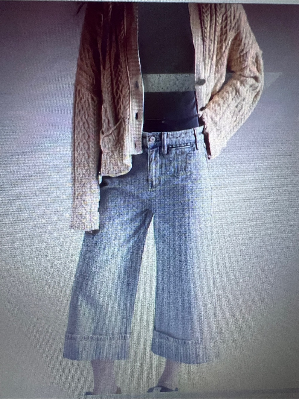 We The Free Brette Cropped Wide-Leg Jeans ~Love Affair~ 27 sold out
